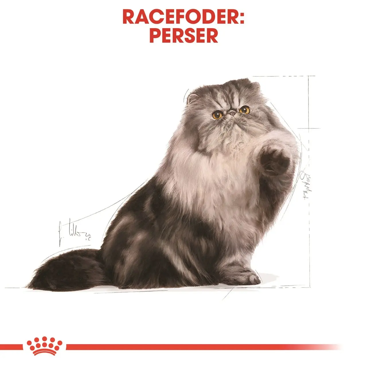 Royal Canin Persian 4 kg